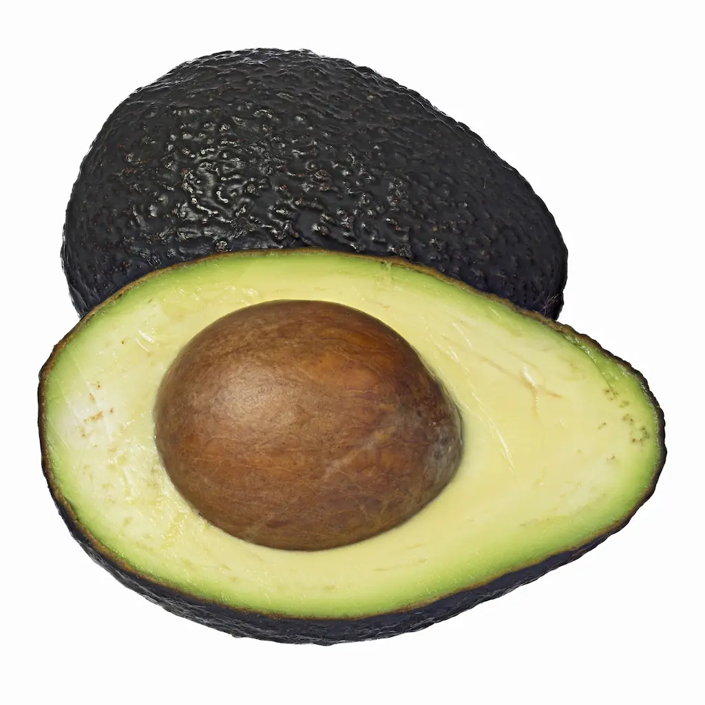 Avocado