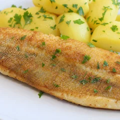 Donau-Zander gebraten mit Petersilienkartoffeln